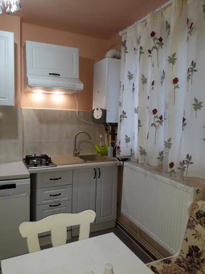 Cozy, Central 1-Bedroom Apartment In Timisoara, Romania Extérieur photo