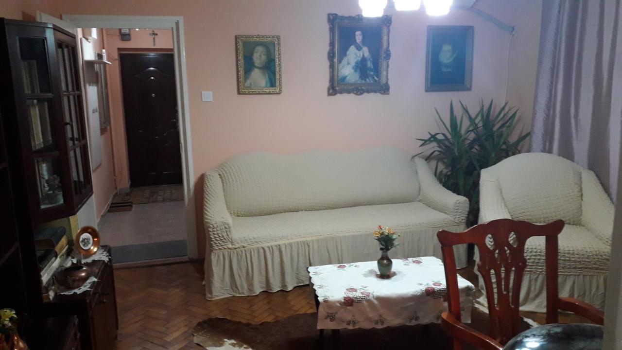 Cozy, Central 1-Bedroom Apartment In Timisoara, Romania Extérieur photo